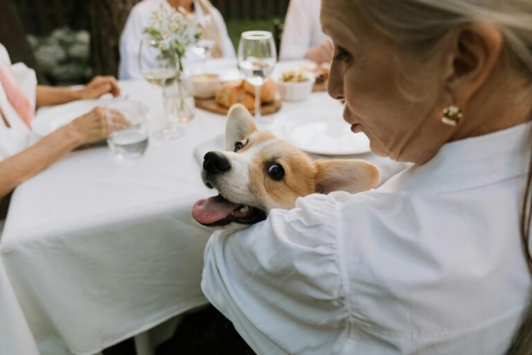 The Shocking True Cost of Owning a Pet Over 10 Years